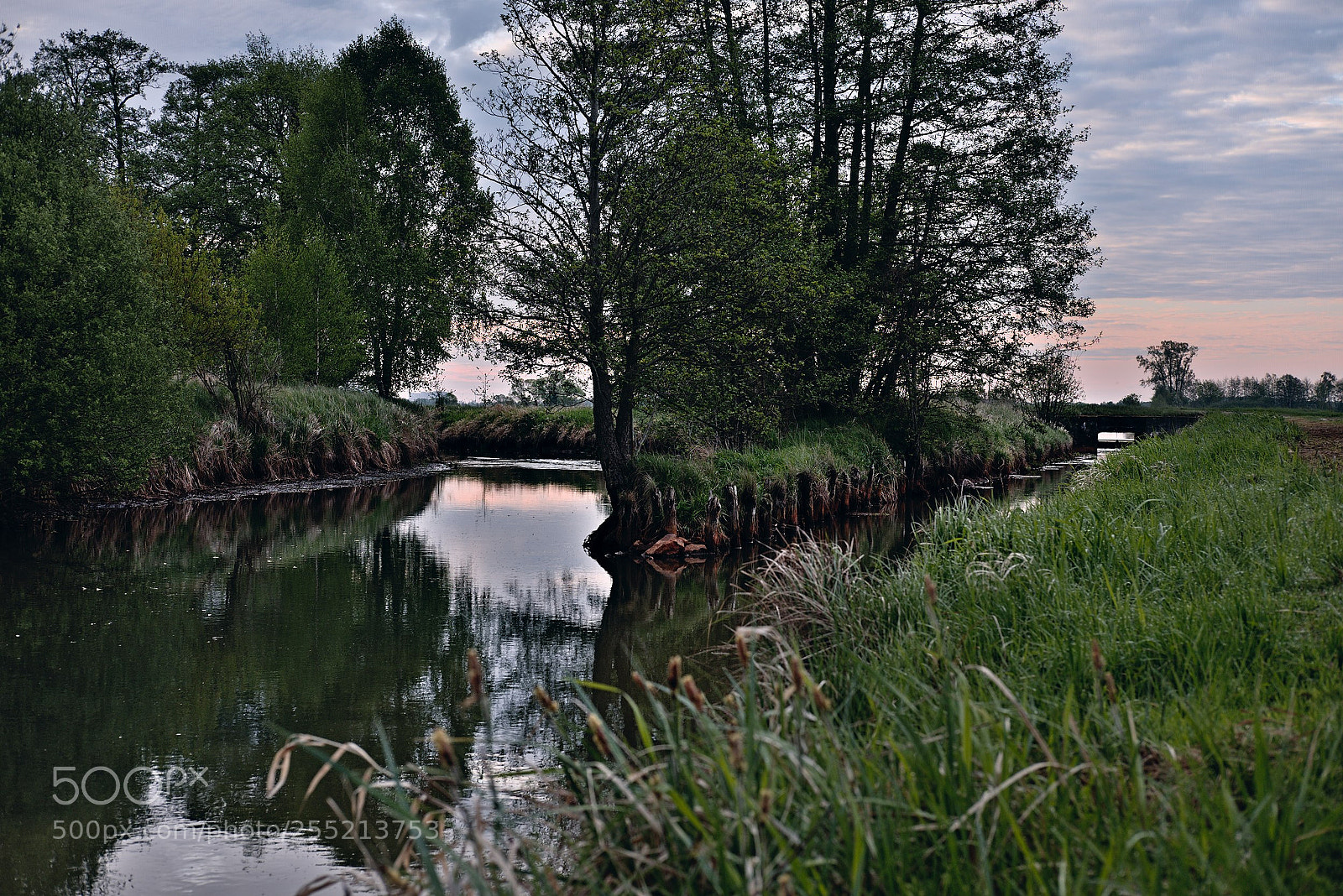 Fujifilm X-T10 sample photo. Spreeaue photography