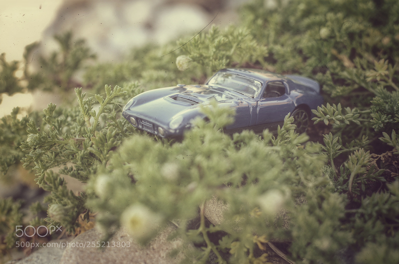 Nikon D7100 sample photo. Untitled photography