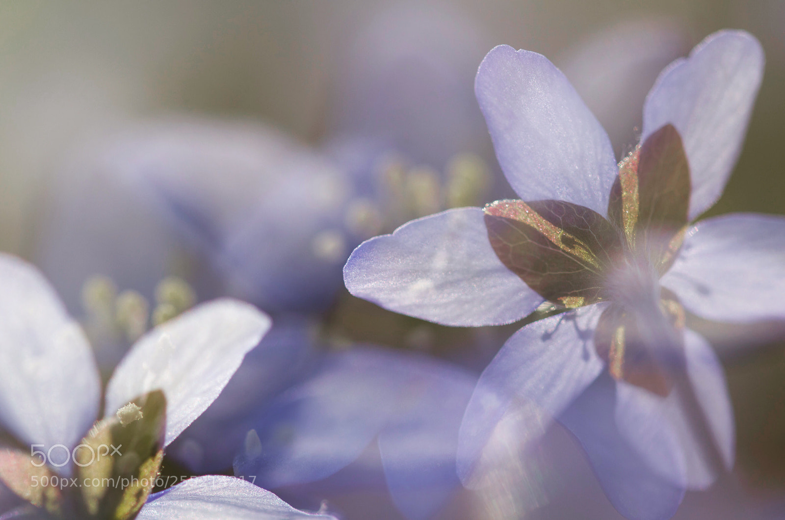 Nikon D7000 sample photo. Swedish spring.  photography