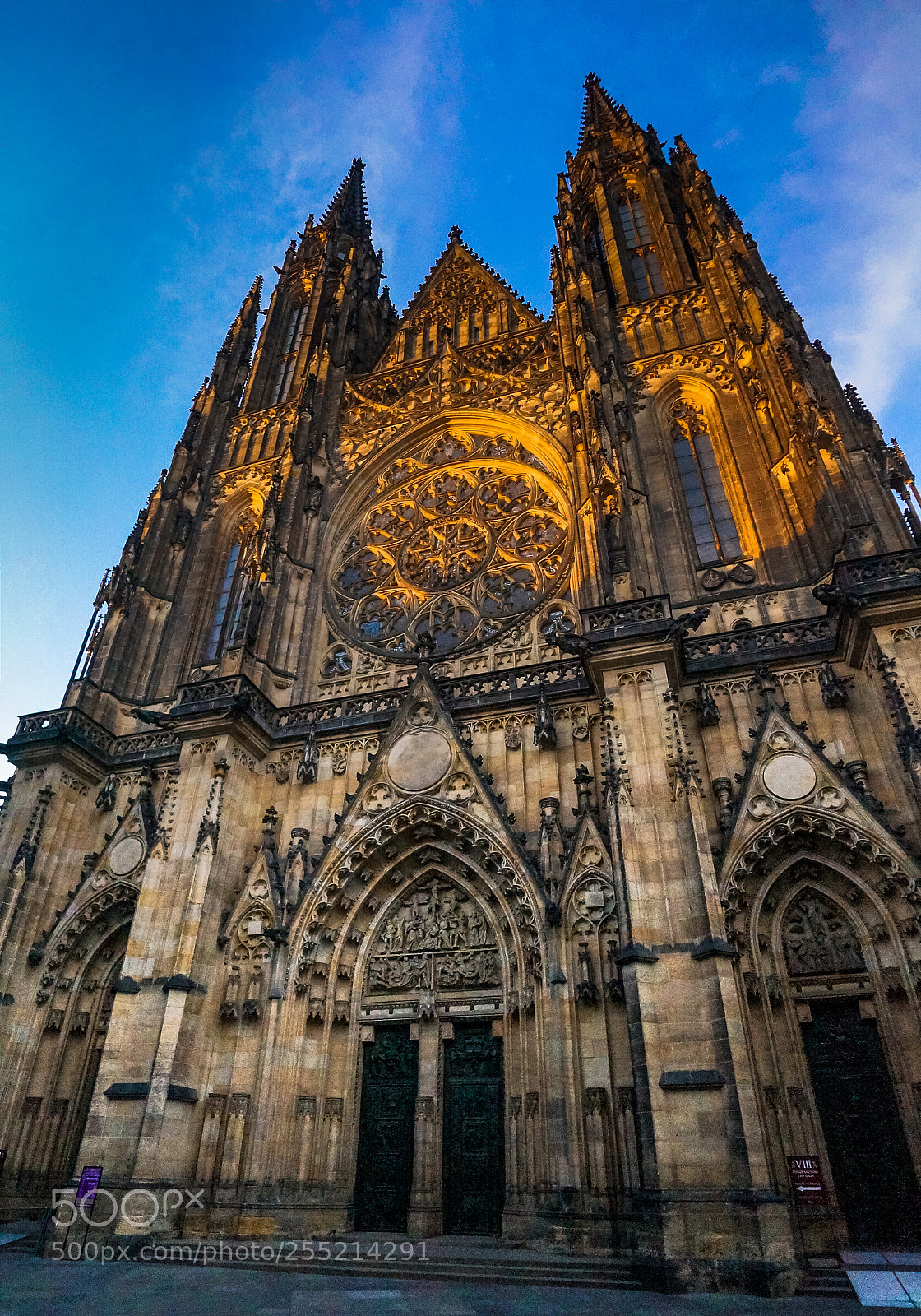 Sony Alpha NEX-5R sample photo. St. vitus in the photography