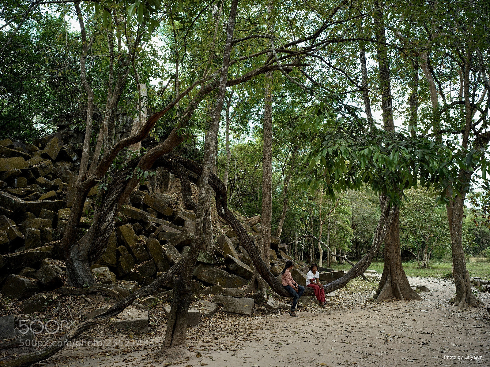 Hasselblad X1D-50c sample photo. Beng meale photography
