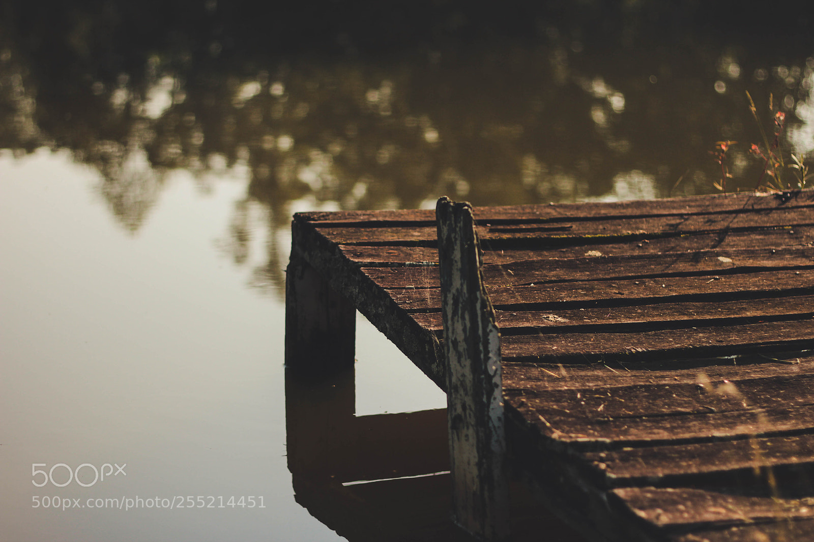 Canon EOS 600D (Rebel EOS T3i / EOS Kiss X5) sample photo. Deck wood photography