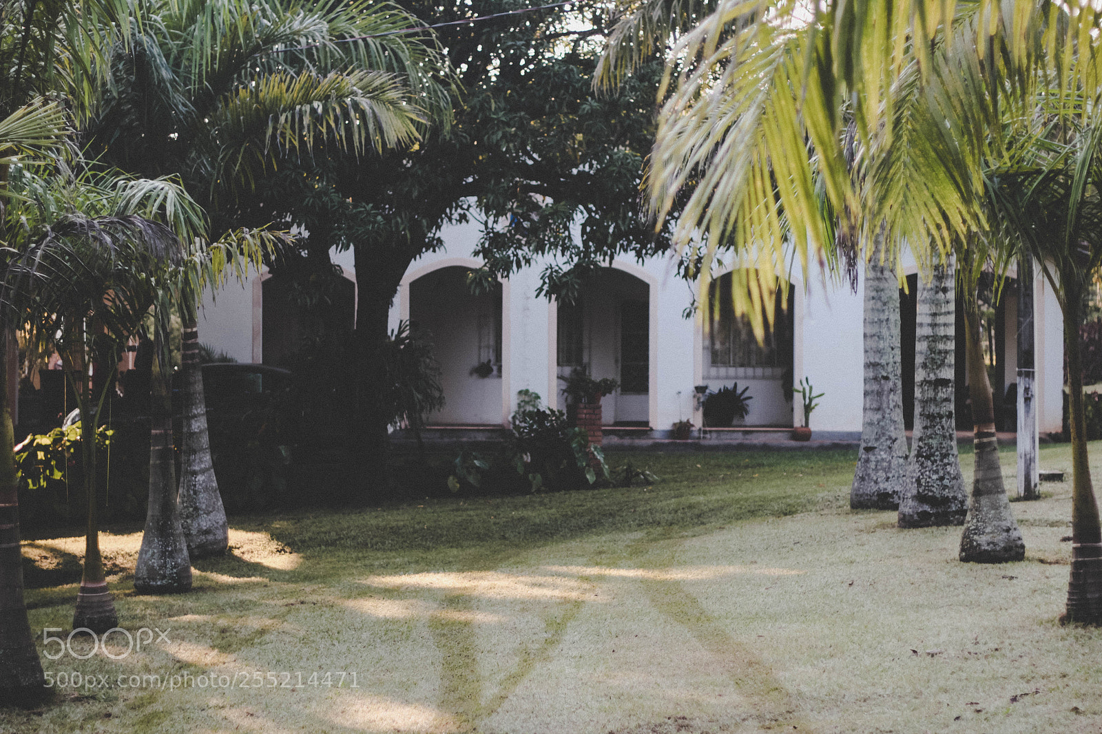 Canon EOS 600D (Rebel EOS T3i / EOS Kiss X5) sample photo. Hostel vale do aleluia photography