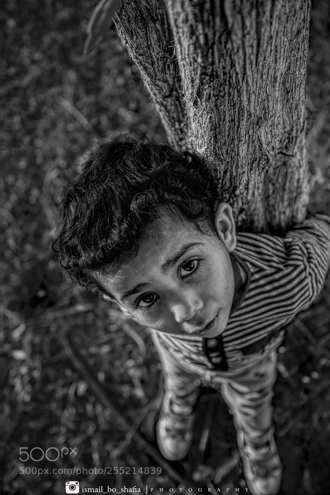 Nikon D610 sample photo. Abood photography