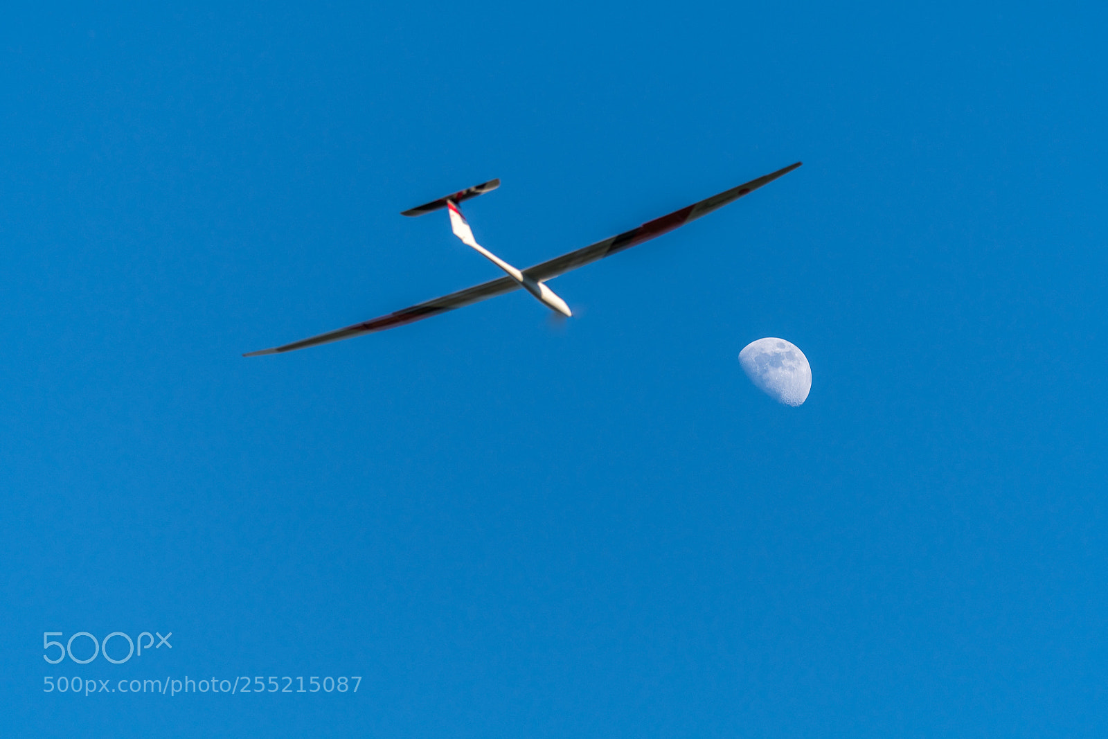 Nikon D7500 sample photo. Glider with electric motor photography