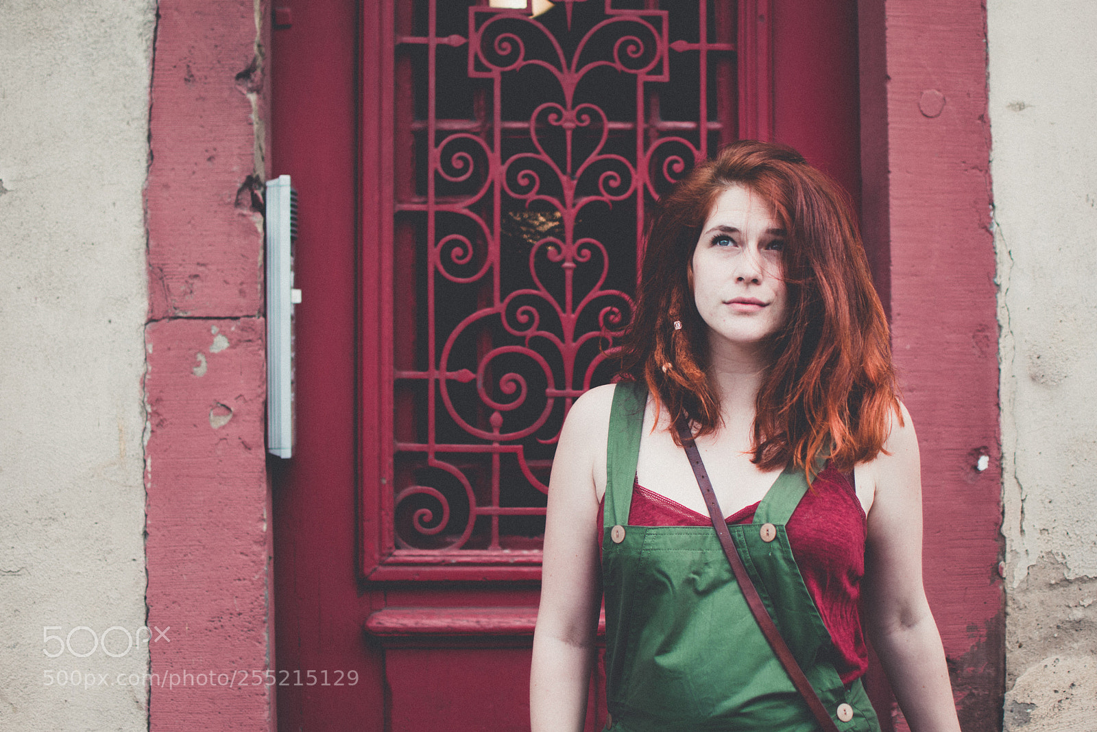 Nikon D5500 sample photo. Vert & rouge photography