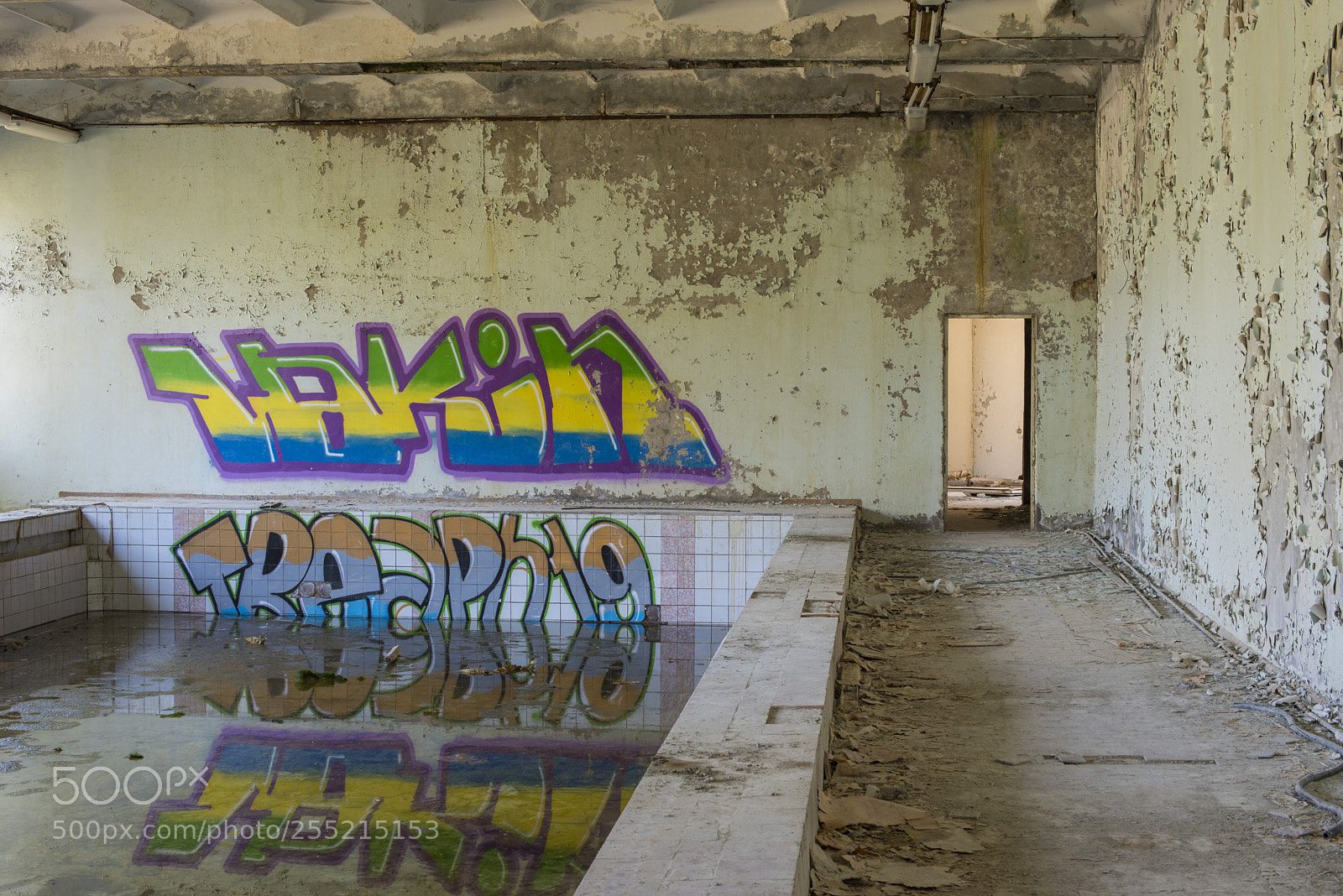 Nikon D810 sample photo. Skinny dip photography