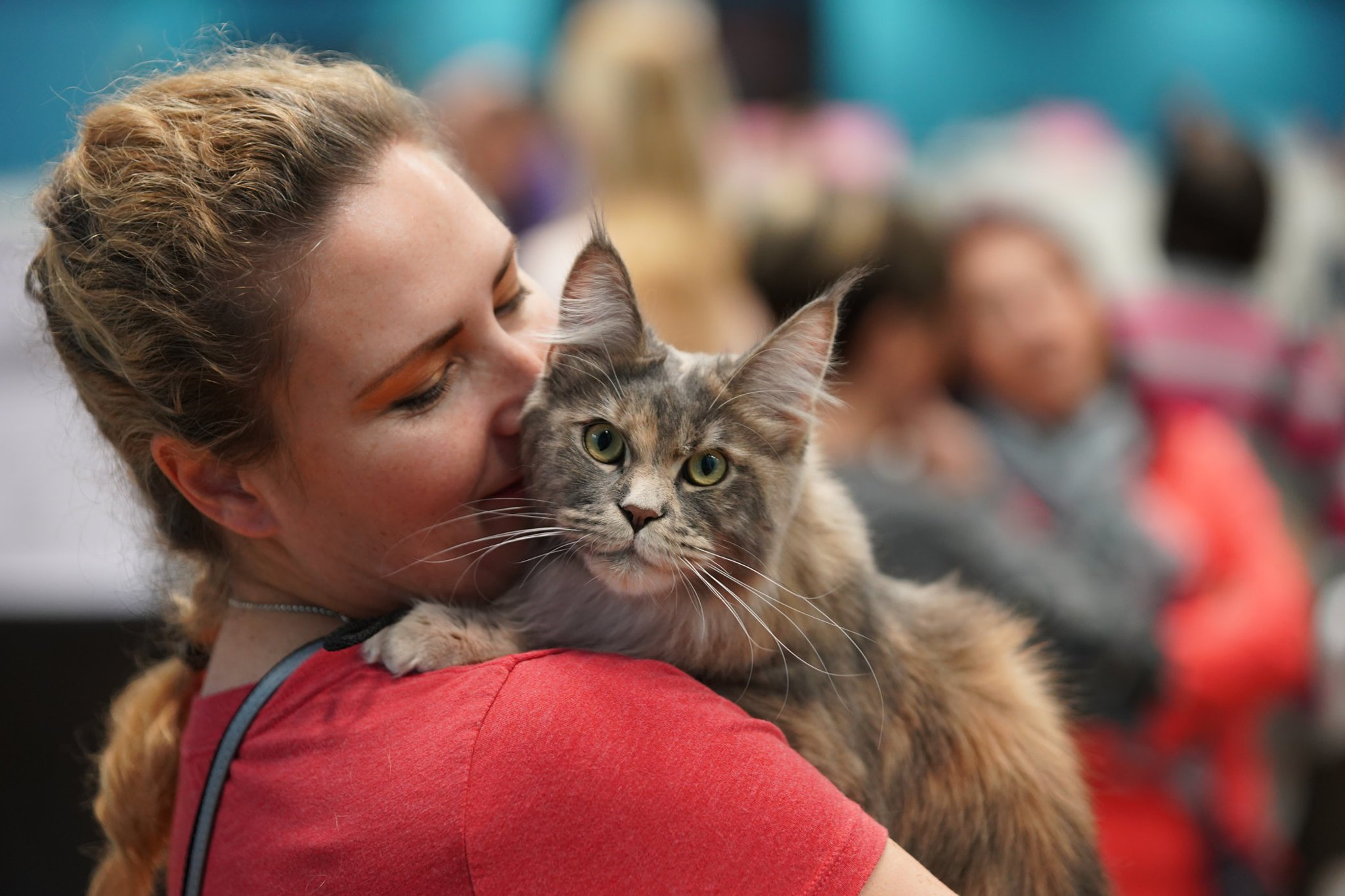 Minolta/Sony AF 70-200mm F2.8 G sample photo. Join us at the may 2018 londoncats international cat show photography