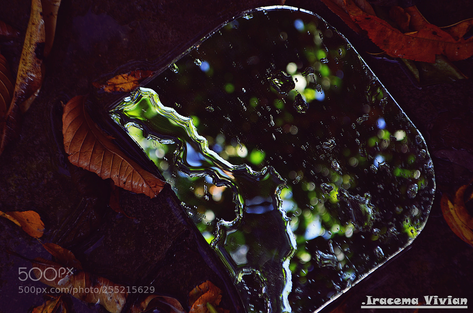 Nikon D5100 sample photo. Untitled photography