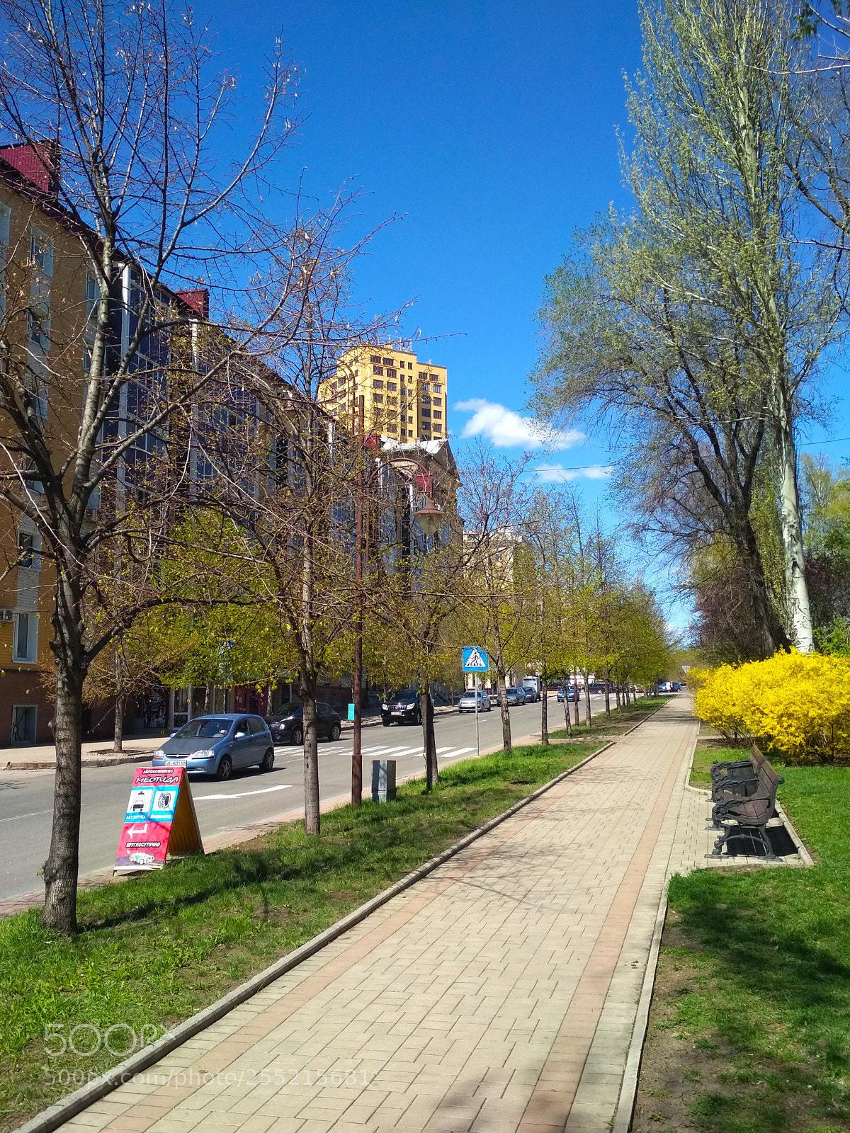 Xiaomi Redmi 4X sample photo. Untitled photography