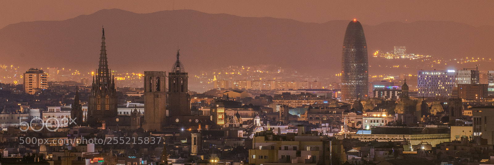 Nikon D3300 sample photo. Barcelona lights photography