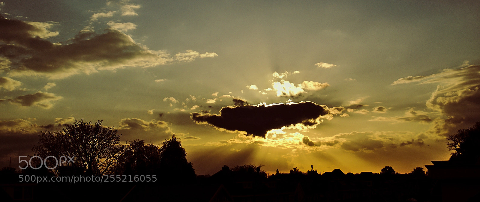 Sony SLT-A65 (SLT-A65V) sample photo. Out of my window photography