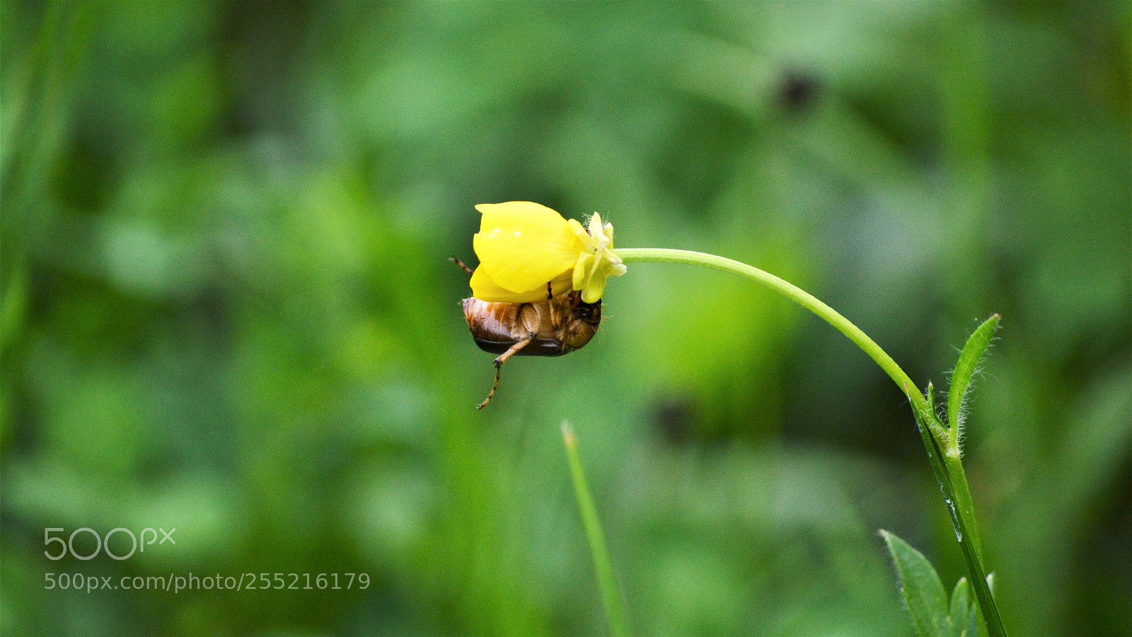 Nikon D3200 sample photo. Untitled photography
