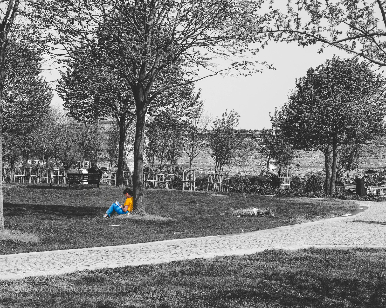 Nikon D7000 sample photo. Yellow photography