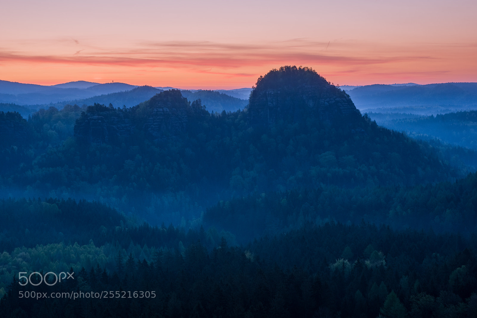 Sony SLT-A77 sample photo. Spring in saxon switzerland photography
