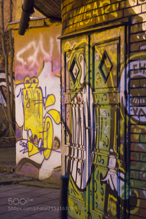 Canon EOS 550D (EOS Rebel T2i / EOS Kiss X4) sample photo. Street art and graffiti photography