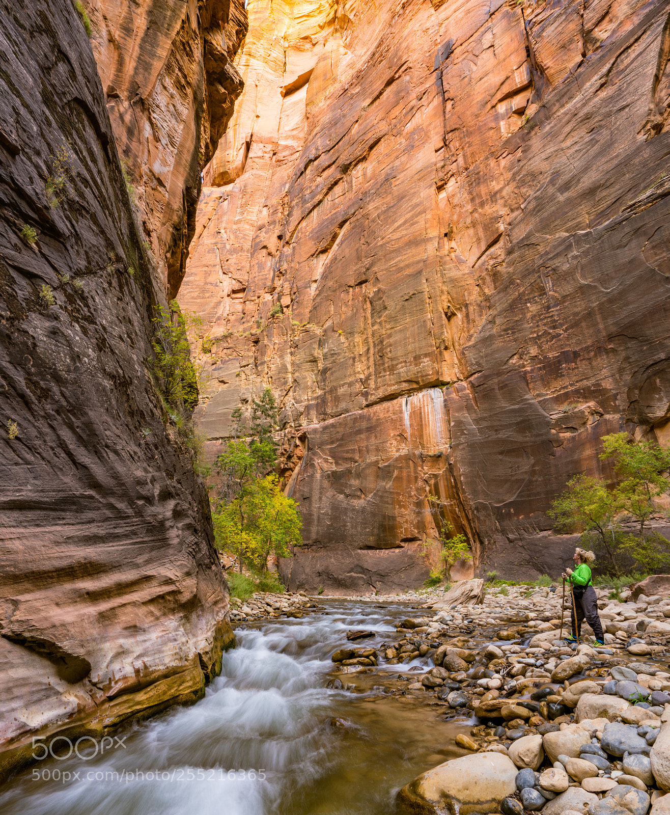 Sony a7R II sample photo. Virgin river narrows photography
