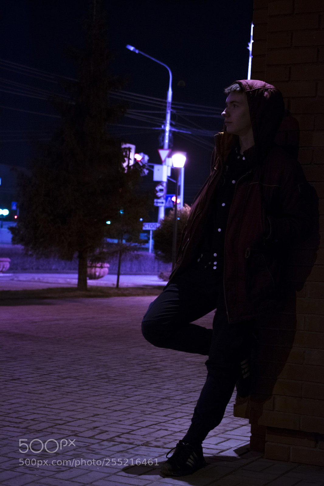 Nikon D3300 sample photo. T h i n photography