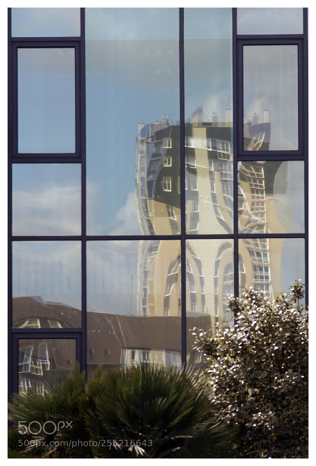 Sony ILCA-77M2 sample photo. Reflet photography