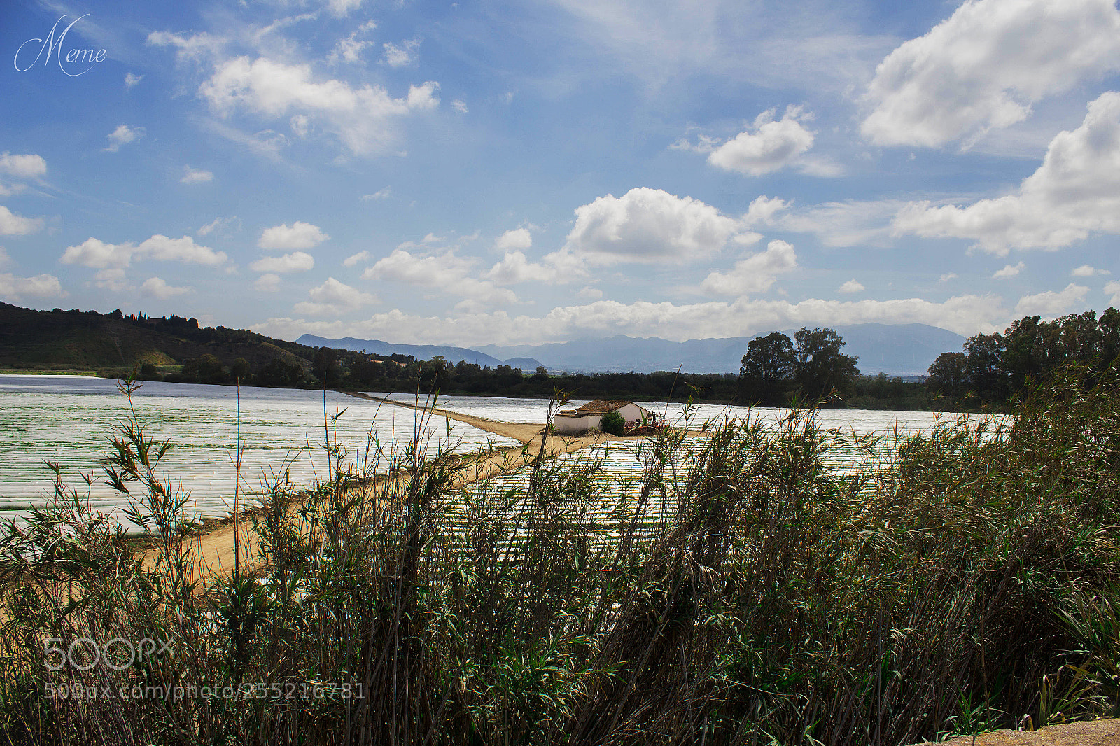 Canon EOS 1200D (EOS Rebel T5 / EOS Kiss X70 / EOS Hi) sample photo. El sembrado (the seeded) photography
