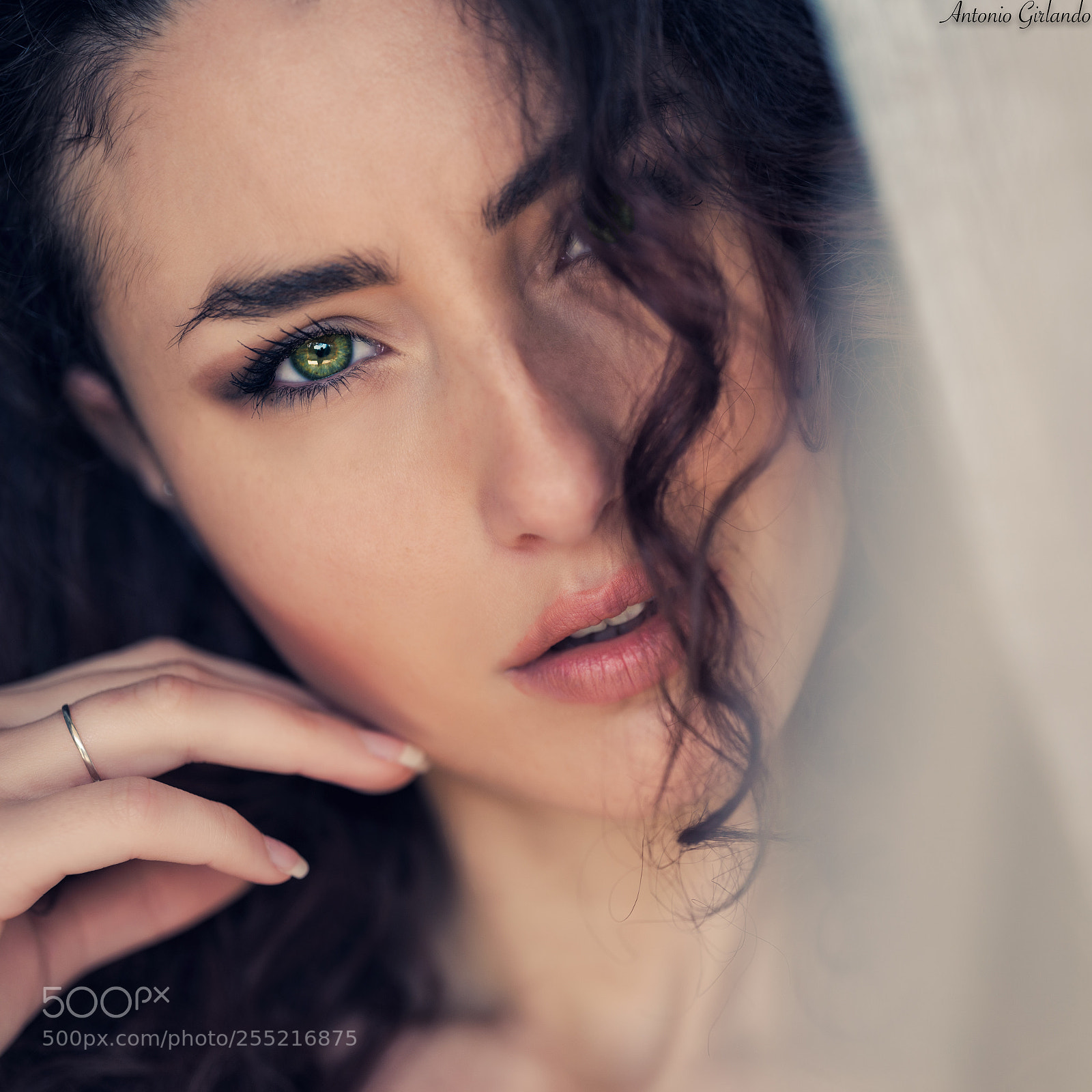 Fujifilm GFX 50S sample photo. Green eyes (3) photography