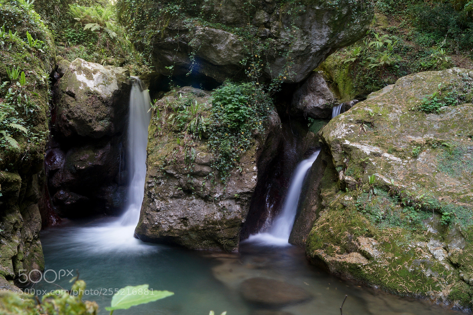 Sony SLT-A58 sample photo. Untitled photography
