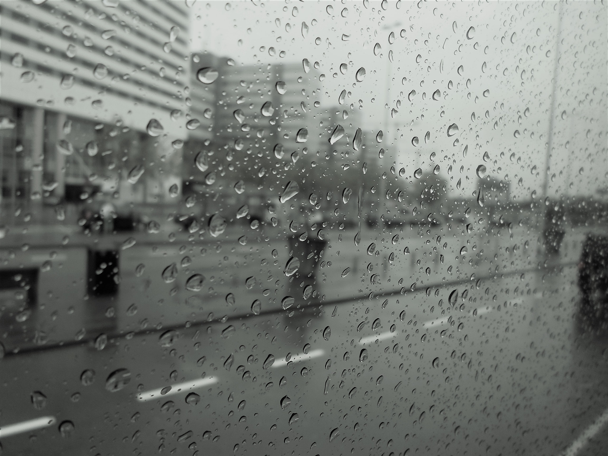 Samsung ST66 / ST68 sample photo. Rainy day photography