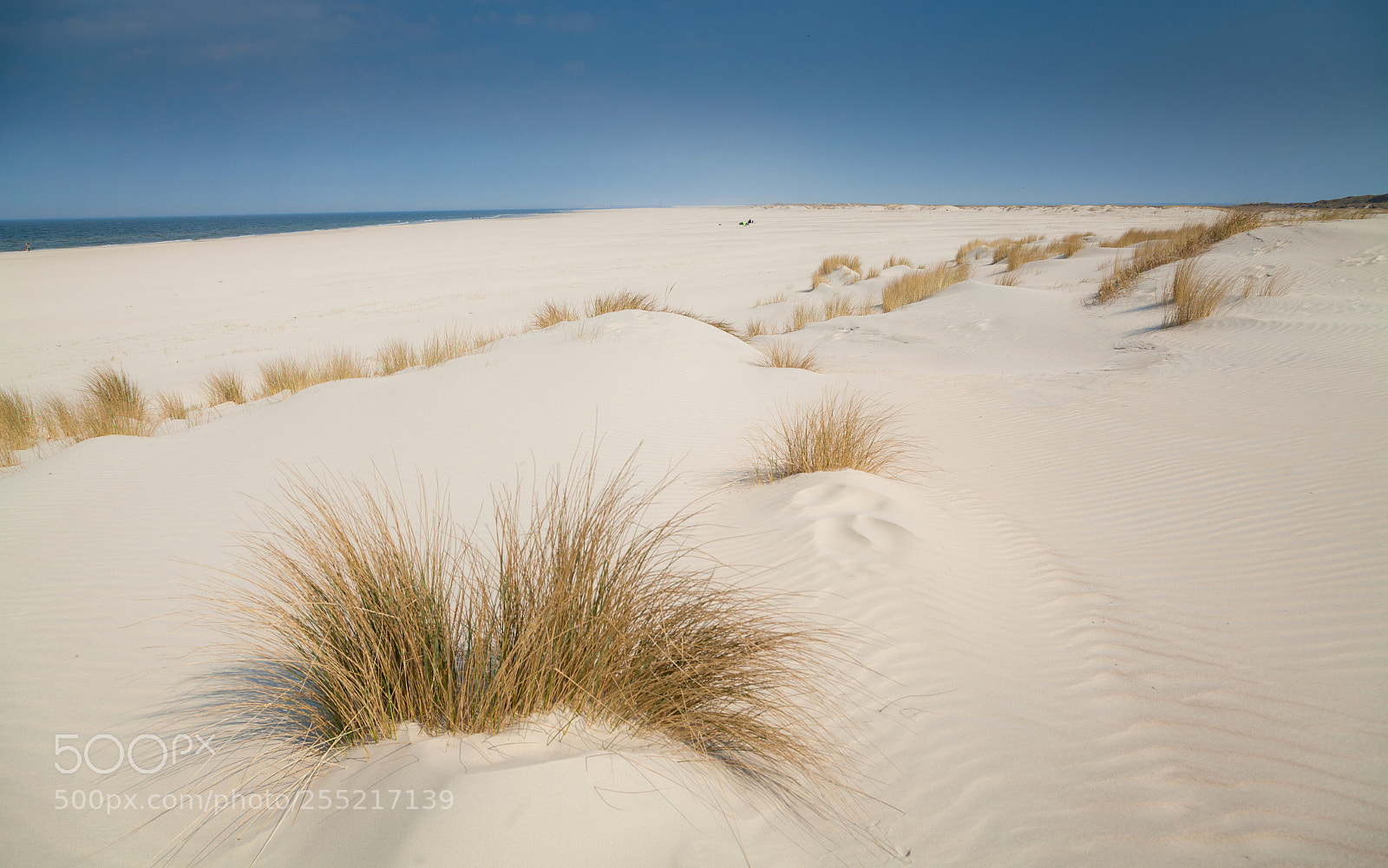 Canon EOS 5D Mark II sample photo. Spiekeroog beach photography