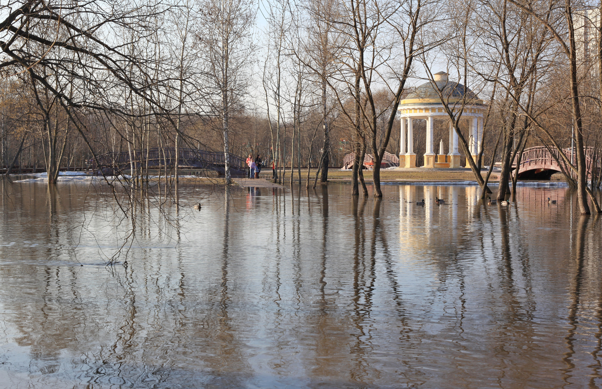 Canon EF 50mm F1.8 II sample photo. Весенняя река photography