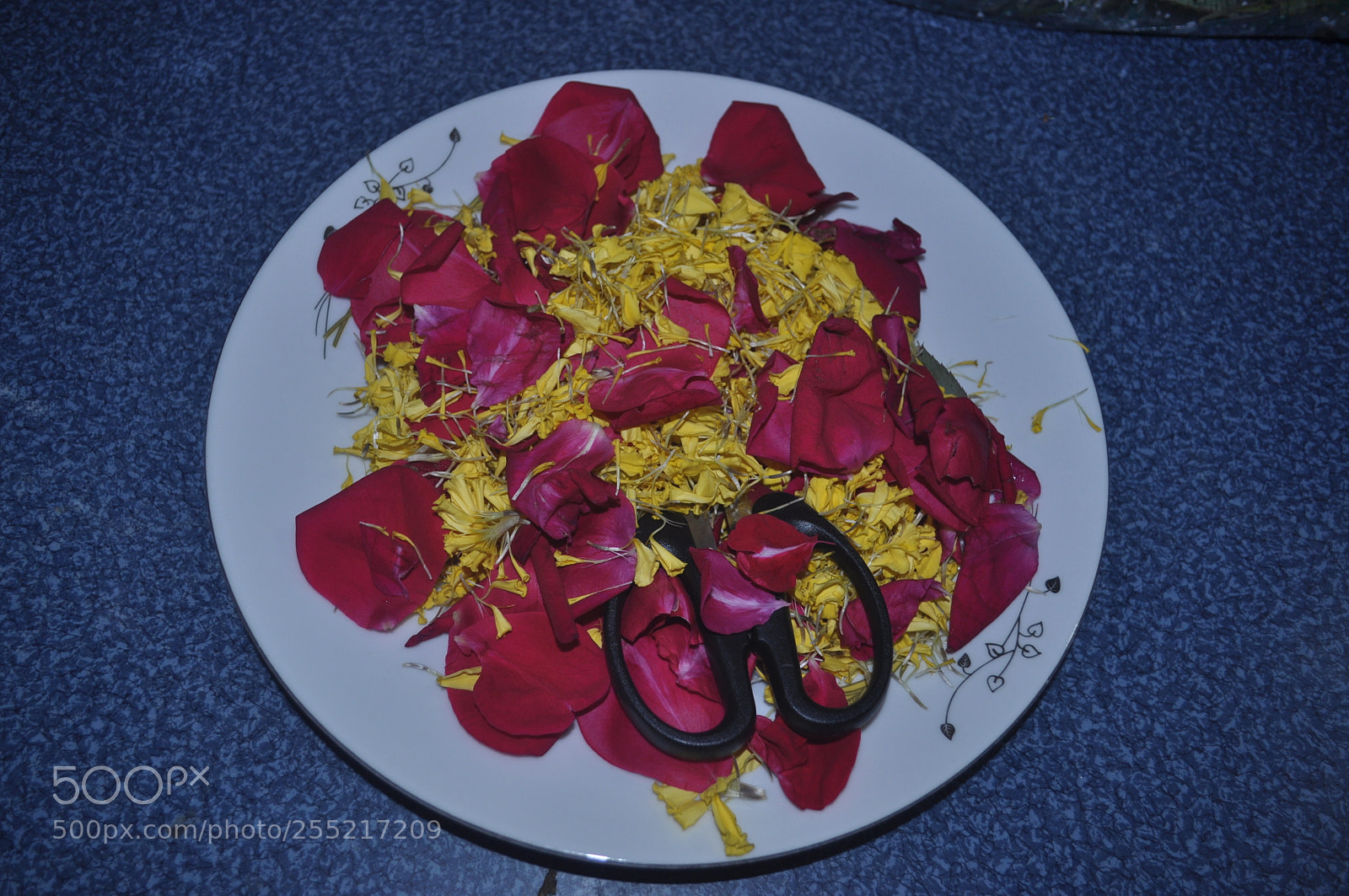 Nikon D5000 sample photo. Awesome food photography