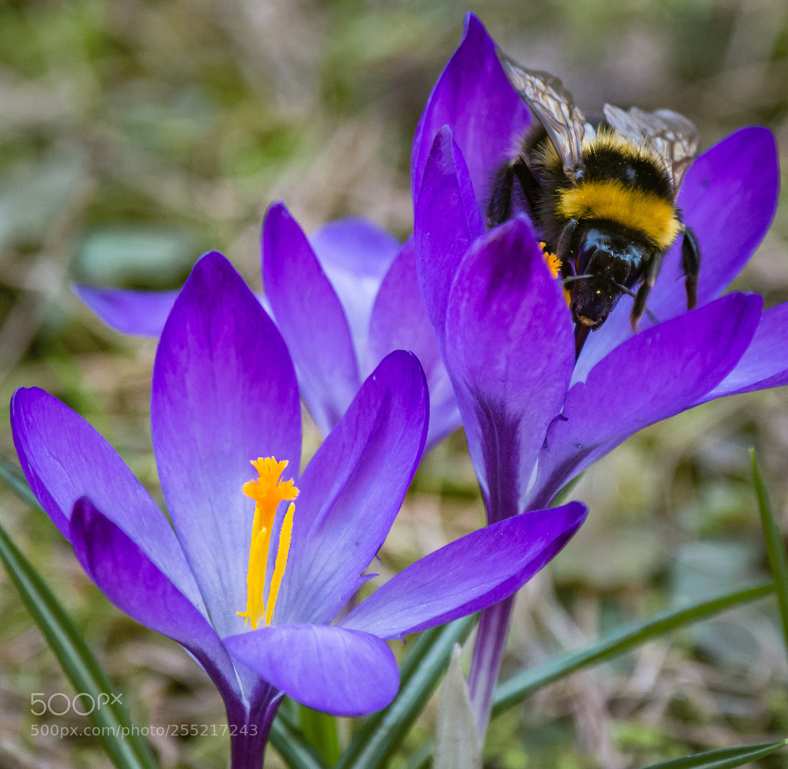 Nikon D7200 sample photo. ***** photography