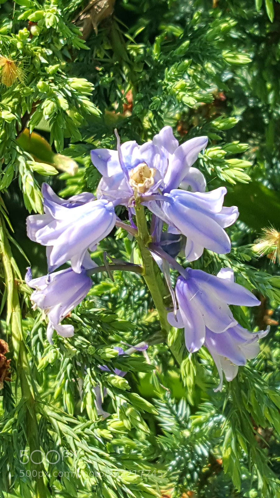 Samsung Galaxy S6 sample photo. Untitled photography