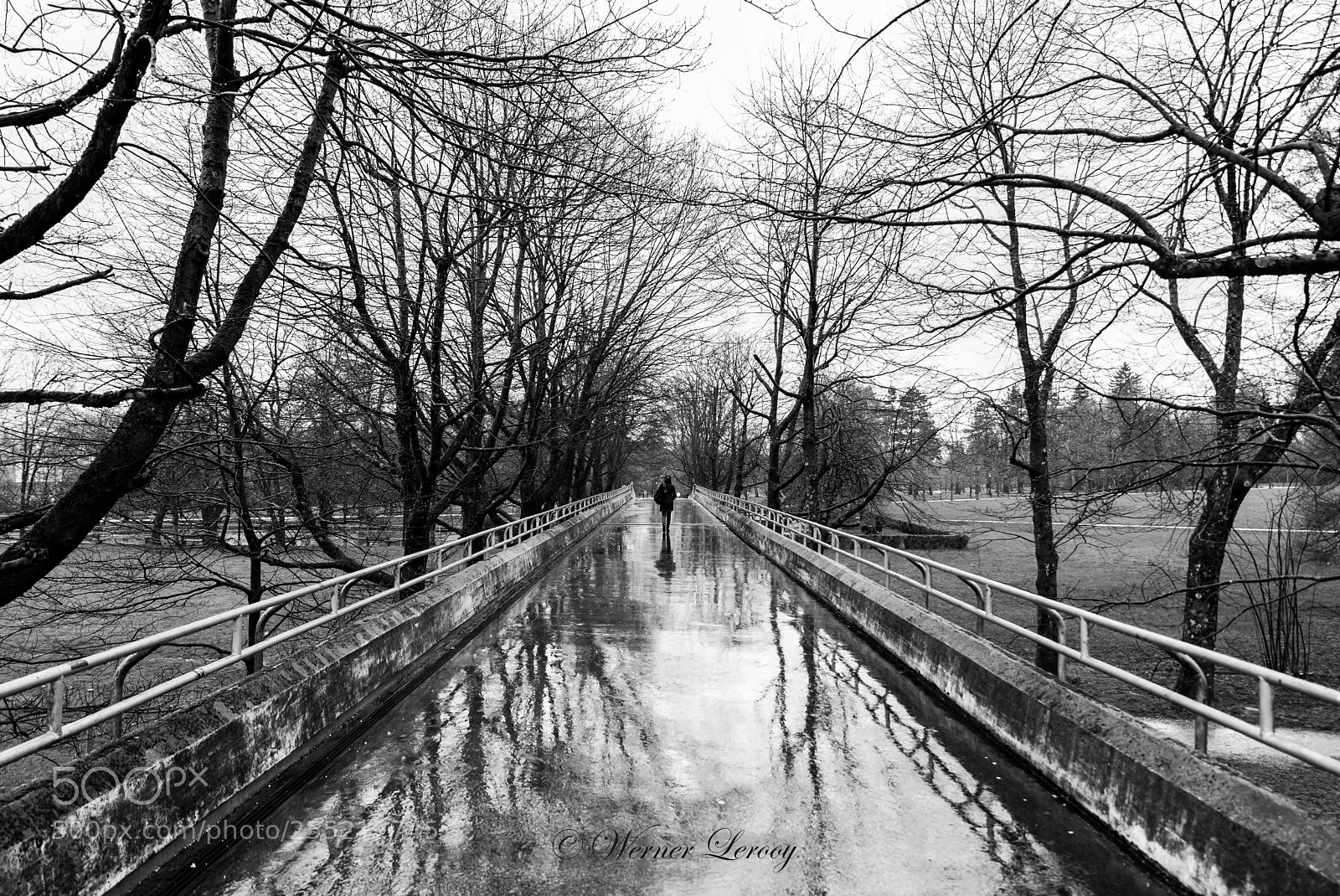 Nikon D750 sample photo. Walking in the rain photography