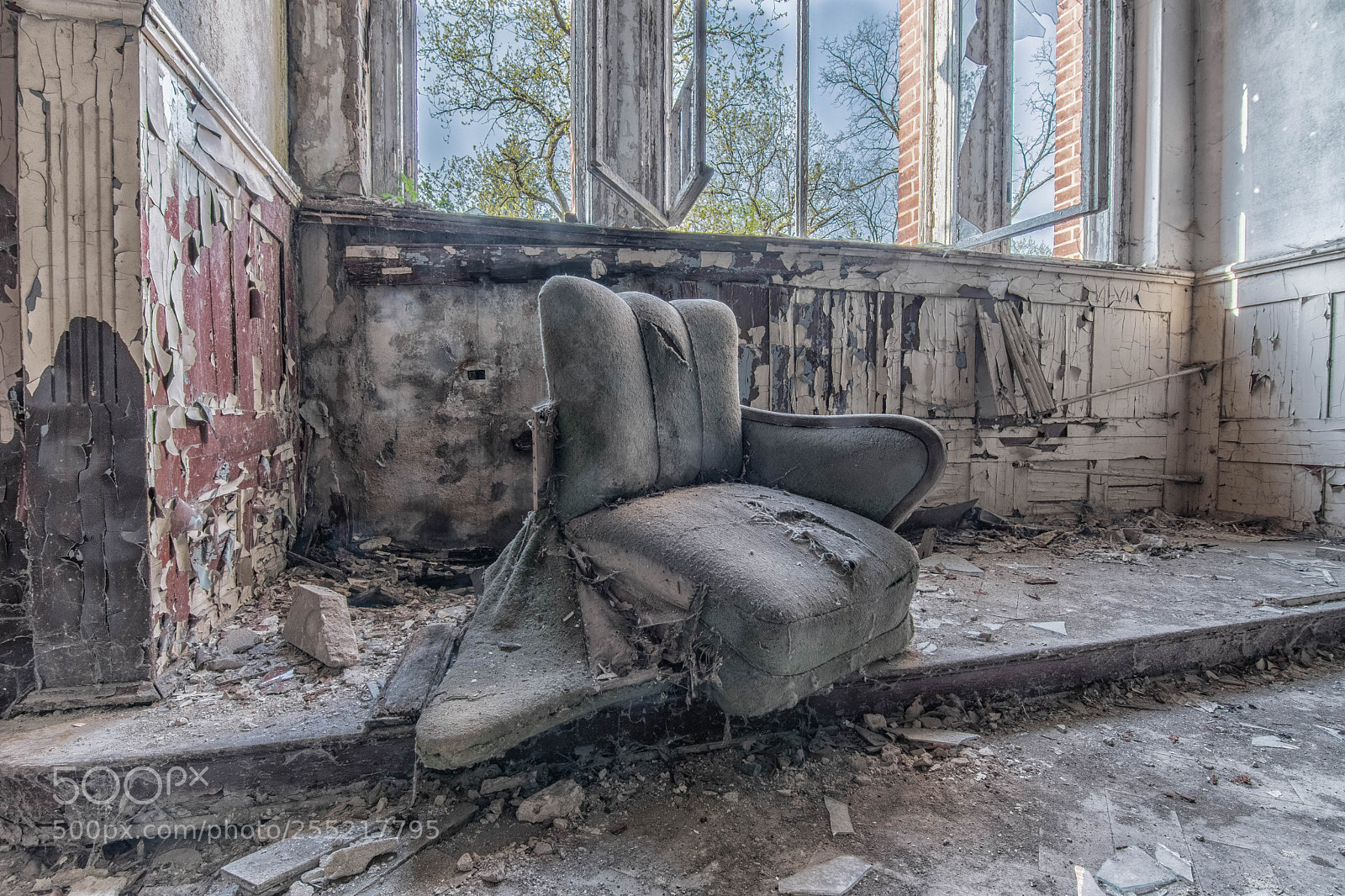 Nikon D500 sample photo. Have a seat photography
