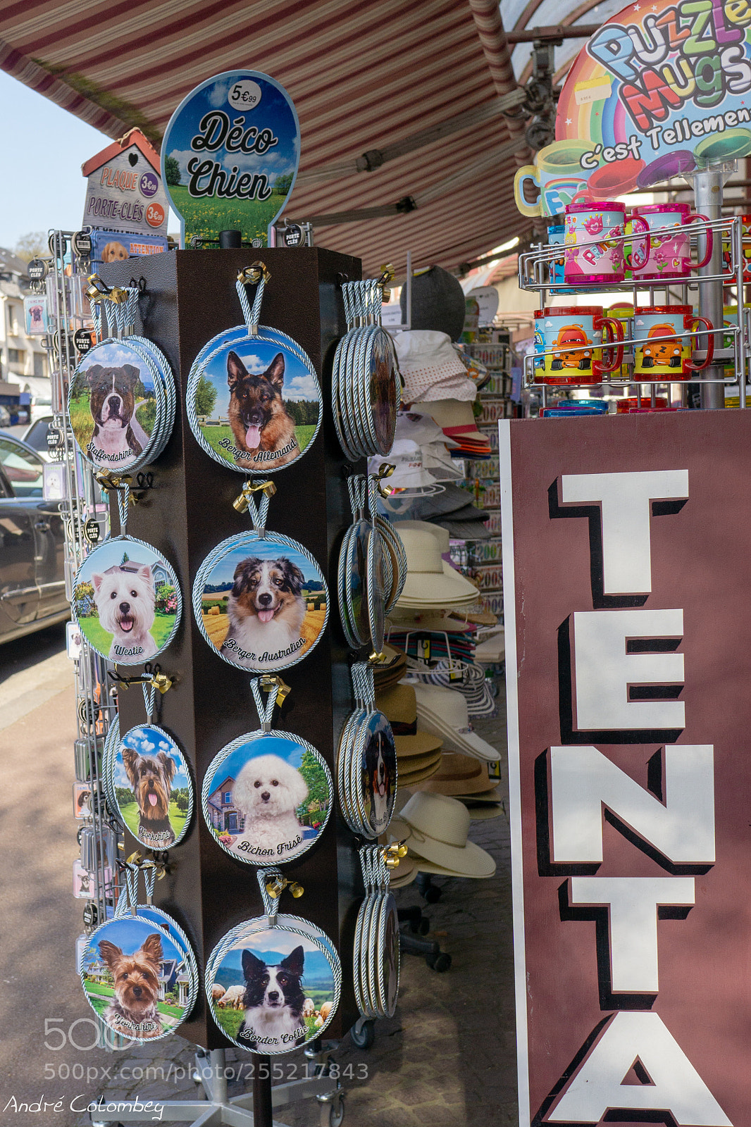 Sony a6000 sample photo. Deco chien photography