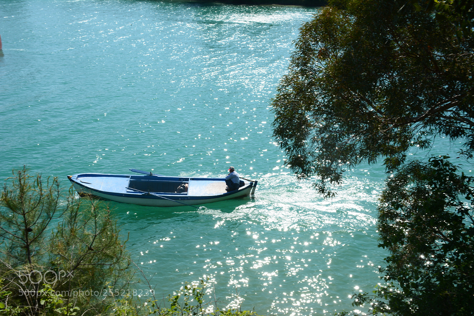 Nikon D7100 sample photo. Untitled photography
