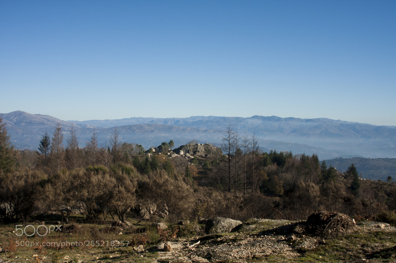 Canon EOS 40D sample photo. Protected landscape of corno photography