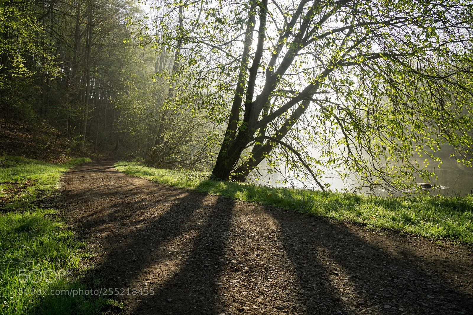 Sony a6000 sample photo. Shadows photography