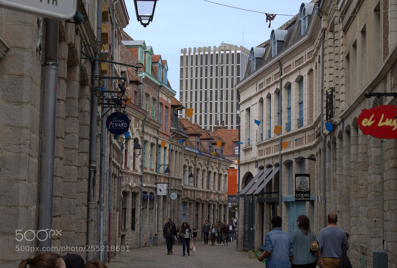 Canon EOS 1100D (EOS Rebel T3 / EOS Kiss X50) sample photo. Lille, france photography
