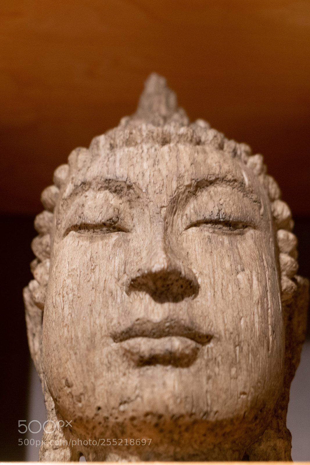 Fujifilm X-E1 sample photo. Enlightened photography