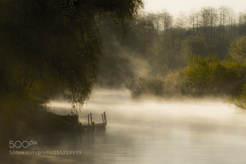 Nikon D500 sample photo. Fog photography