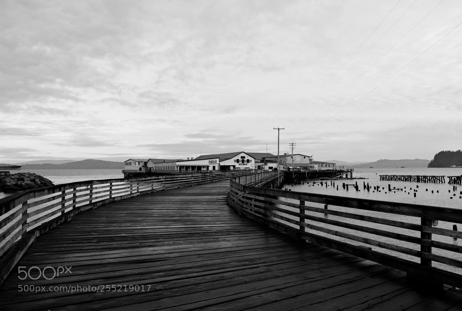 Nikon D3400 sample photo. Pier 39 photography