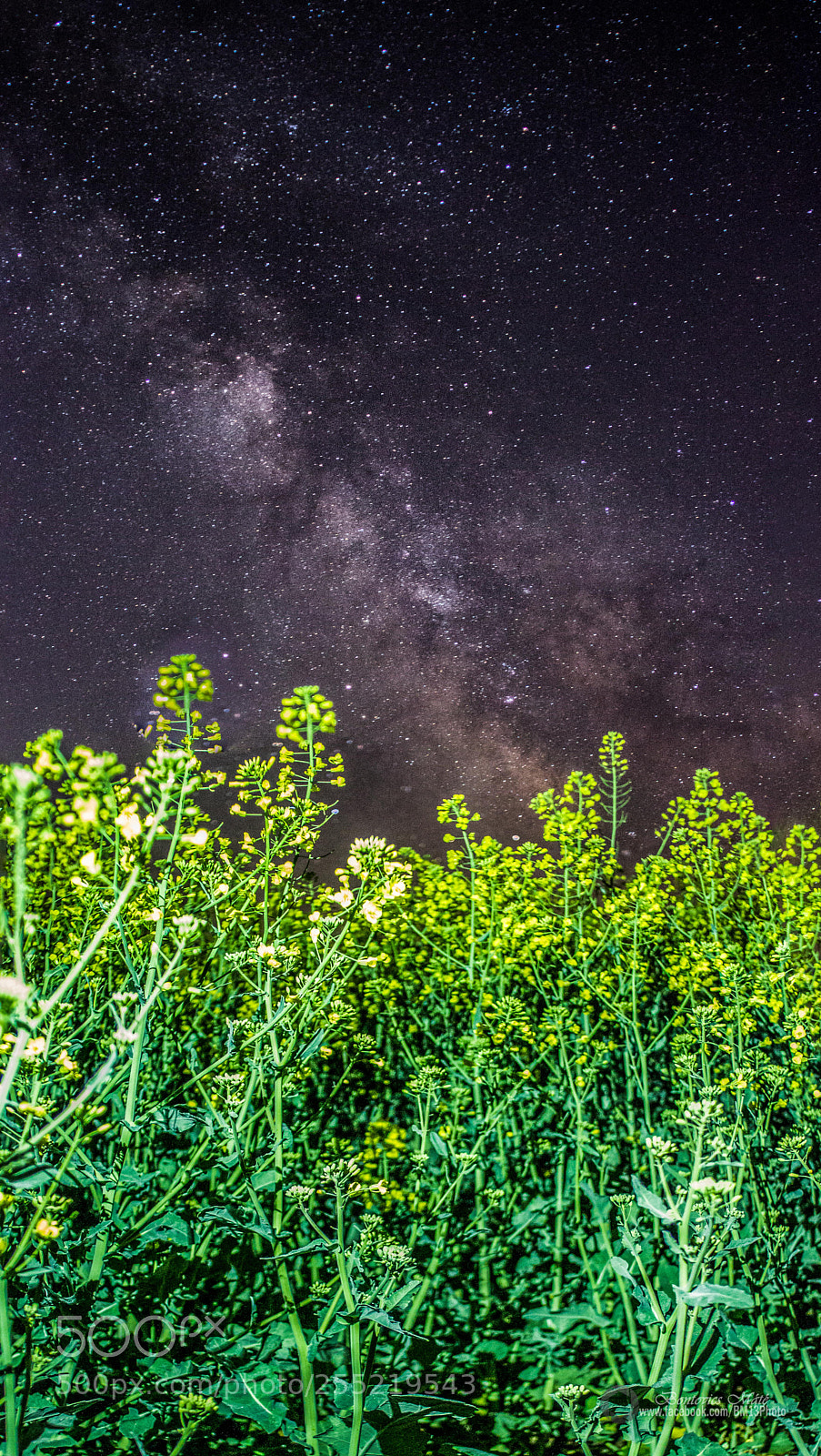Canon EOS 1200D (EOS Rebel T5 / EOS Kiss X70 / EOS Hi) sample photo. Milky way photography