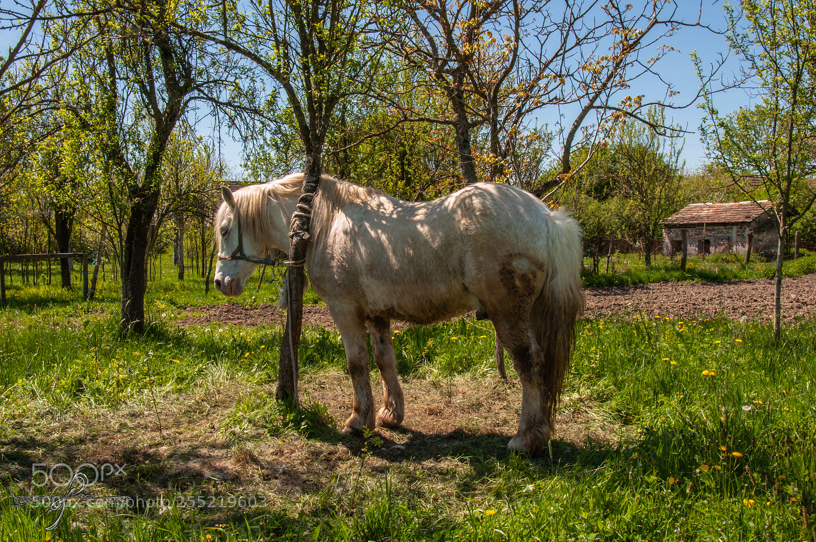 Nikon D90 sample photo. Untitled photography