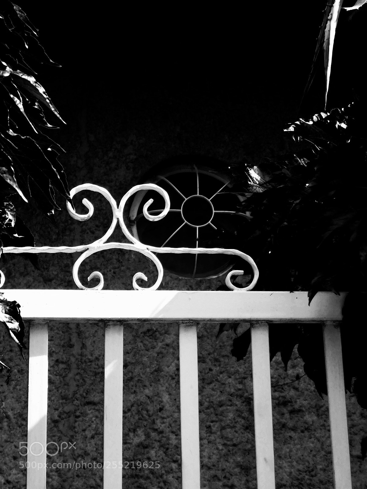 Nikon Coolpix B500 sample photo. D & w photography
