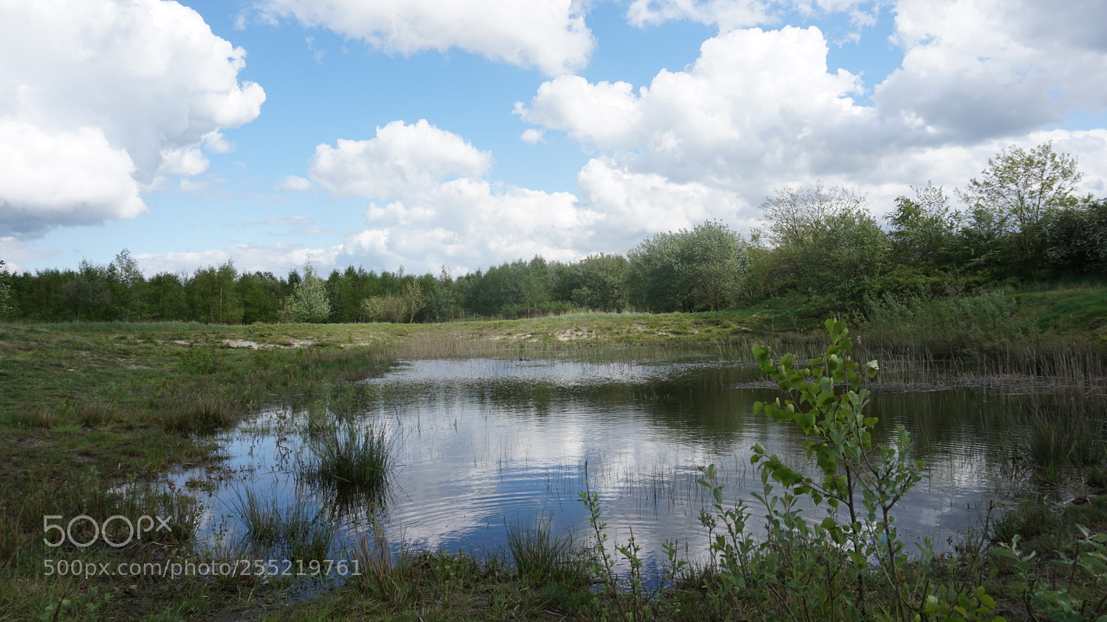 Sony a5100 sample photo. Silent lake photography