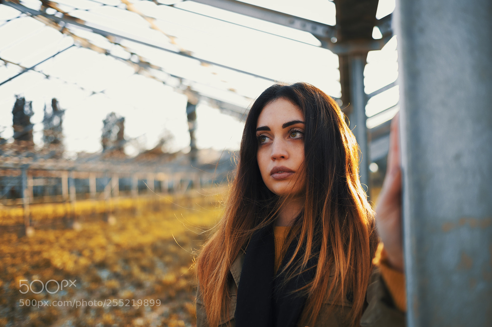 Fujifilm X-T2 sample photo. Francesca photography
