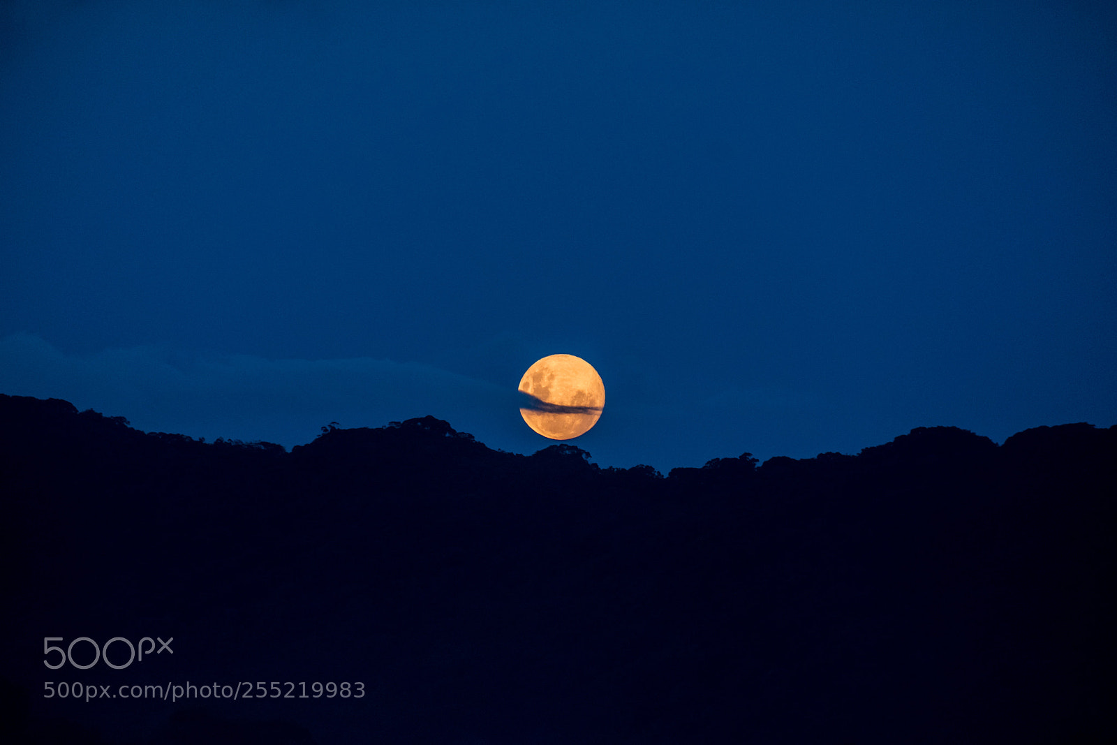 Fujifilm X-T2 sample photo. Moonlight photography
