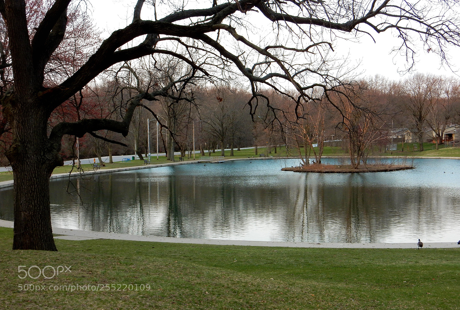 Nikon Coolpix S9900 sample photo. City pond , lunch breaks photography