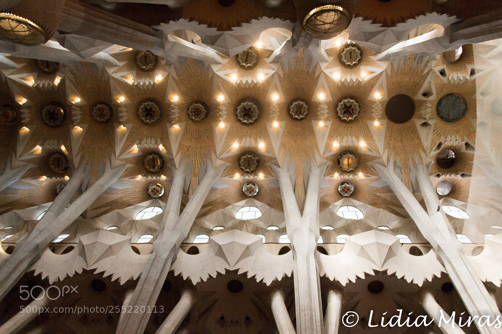 Canon EOS 700D (EOS Rebel T5i / EOS Kiss X7i) sample photo. Sagrada familia's ceiling photography